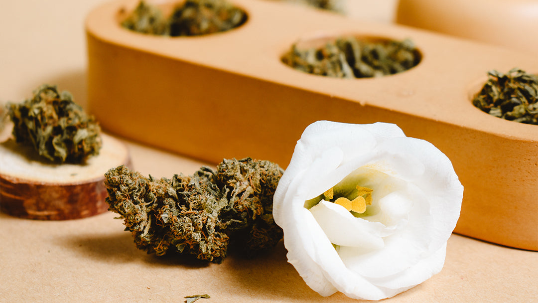 CBD Flowers 101: How We Grow High-Quality Hemp