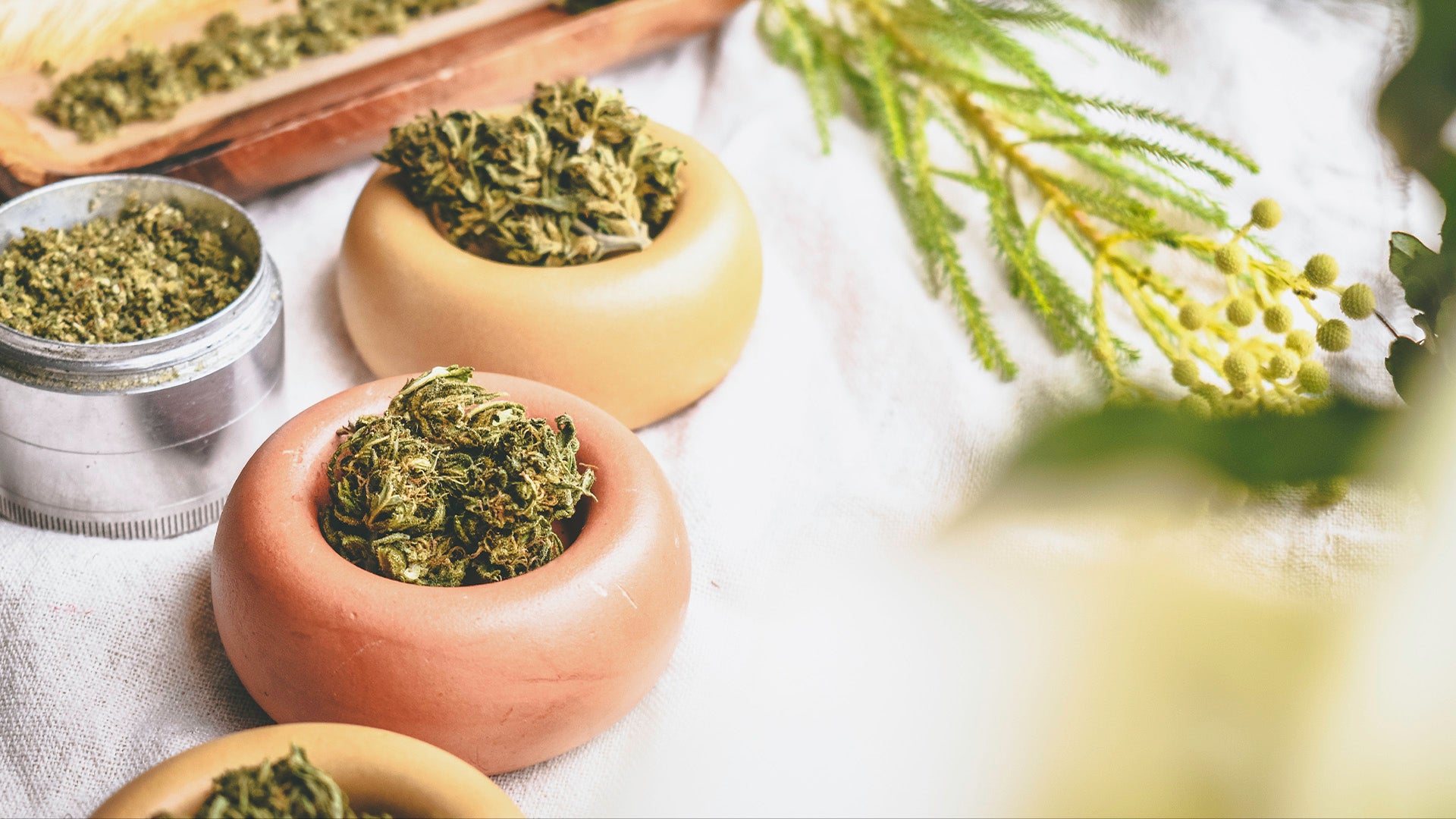 5 Ways You May Already Be Using Plants to Heal, and How Hemp Flower Fits In