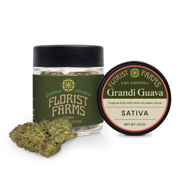 Grandi Guava | Quarter Ounce – Florist Farms