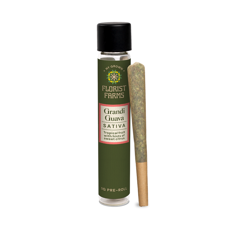 Grandi Guava | 1 Gram Pre-Roll | Single