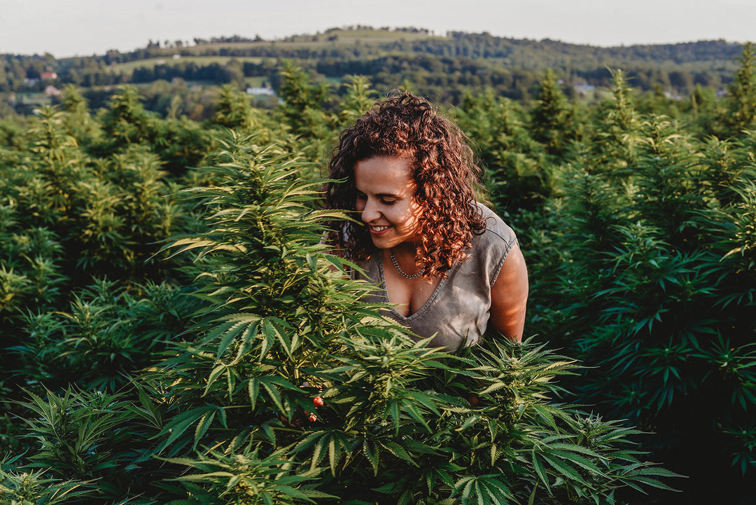 Press Kit Florist Farms